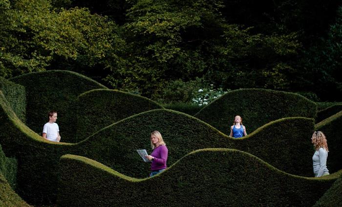 Hedge Garden at Veddw